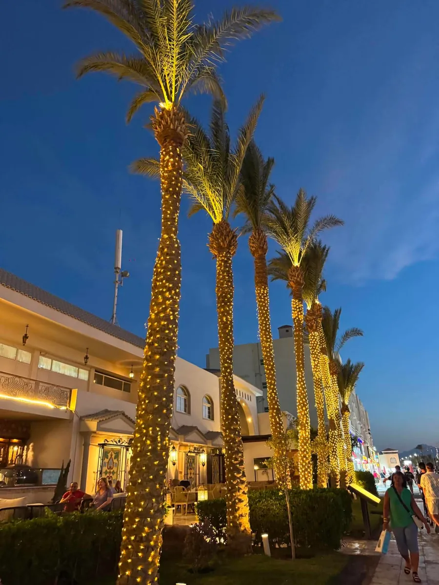 Promenada z palmami w Hurghadzie wieczorem